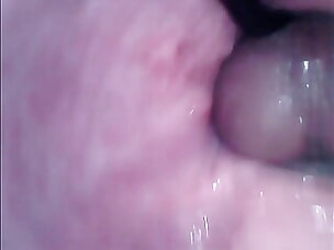 Hot Humping Porn Videos